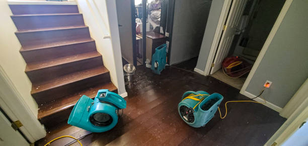 Best Professional water damage repair  in Hauser, ID