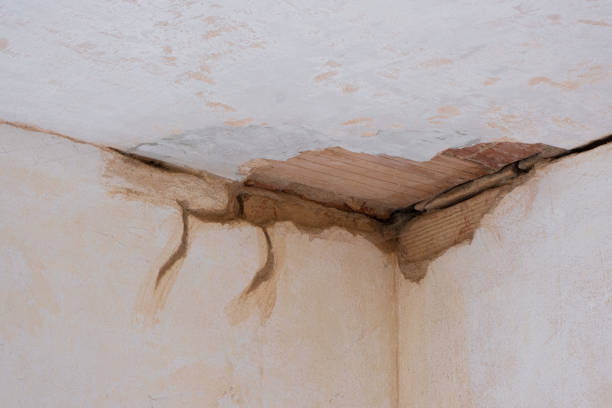 Best Water damage contractors near me  in Hauser, ID