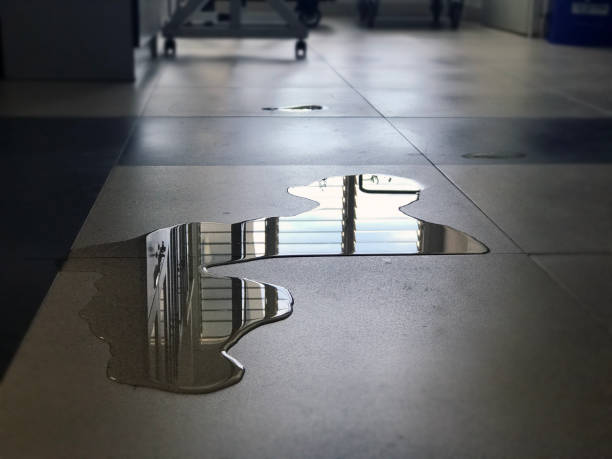 Best 24/7 water damage repair  in Hauser, ID