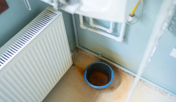 Best Water damage cleanup near me  in Hauser, ID