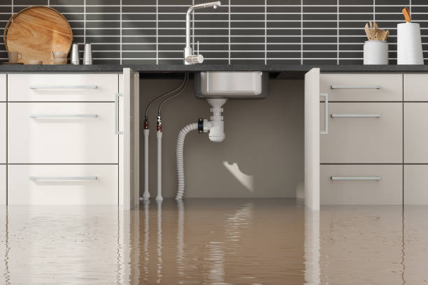  Hauser, ID Water damage restoration Pros