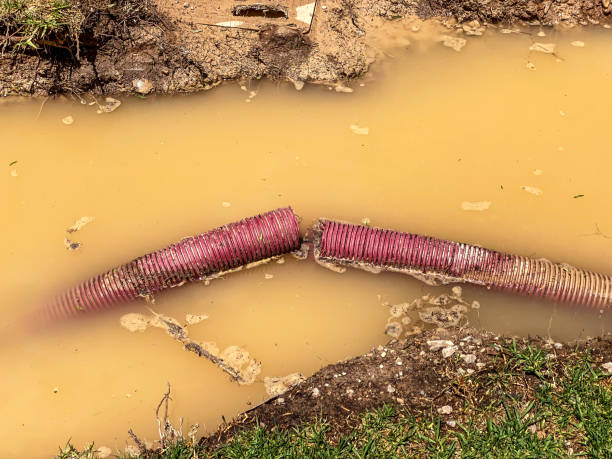 Best 24-hour water damage restoration  in Hauser, ID